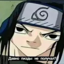 Стикер ДИКИЙ ШИПУДЕН