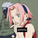 Стикер ДИКИЙ ШИПУДЕН