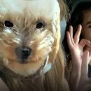 Стикер WIKTORIA