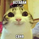 Стикер Доброе утро