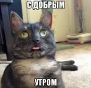 Стикер Доброе утро