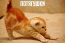 Стикер Доброе утро