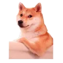 Стикер Doge