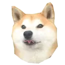 Стикер Doge