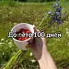 До лета осталось