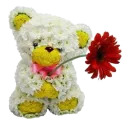 Стикер Flowers