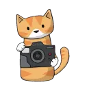 Стикер doodlecats