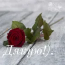 Стикер щиро кохаю!)