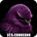 Стикер Birds Memes