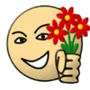 Стикер Durak only