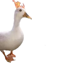 Стикер Гуси