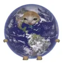 Стикер Cats memes