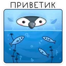Эйпи