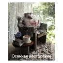 Стикер Ежики