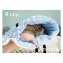 Стикер Ежики