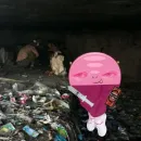 Стикер эльфи-жиза