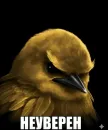 Стикер Birds Memes