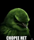 Стикер Birds Memes