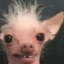 вместо тысячи слов