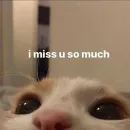 Стикер вместо тысячи слов