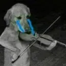 Стикер вместо тысячи слов