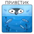 Эйпи