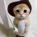 Стикер Erik show