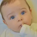 Стикер Eshghiya 2 - Great Stickers