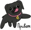 Eva The Pug