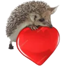 Стикер Ежжи