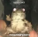 Стикер Memes