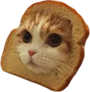 Стикер myCats