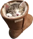 Стикер myCats