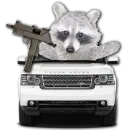 Стикер famous racoon