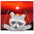 Стикер famous racoon