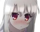 fate / kaleid liner prisma illya