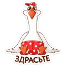 Федька в плавках