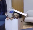 Стикер феликс