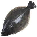Стикер fish