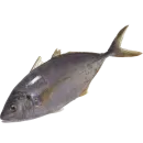 Стикер fish