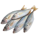 Стикер fish
