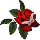 ❤S̃̾À́Ñ̾D̃̾Ỹ̾❤