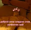 Стикер fluffy ambulance