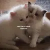 Стикер fluffy ambulance