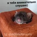Стикер пушистые мемы