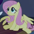 Fluttershy