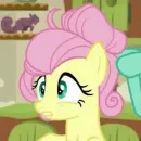Стикер Fluttershy