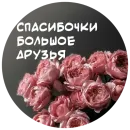 Стикер For My Friends🤍
