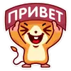 Фрэнки