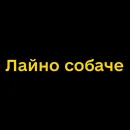 Стикер Буковинські фразеологізми